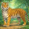 image of a royal bengal tiger